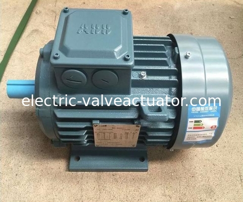 سعر جيد سلسلة M2BA 380V IP55 NEMA Flang Foot مثبتة 3 مراحل محركات AC الكهربائية على الانترنت